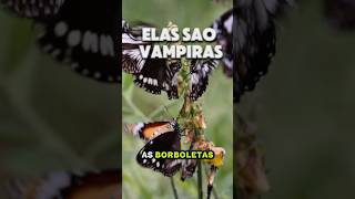 o lado sombrio das borboletas
