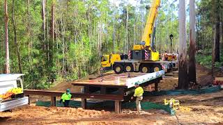 Guulabaa, Place of Koalas, Cowarra State Forest