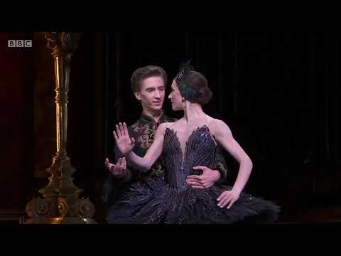 Swan Lake - Act 3 / Black Swan Pas de Deux - Marianela Nunez & Vadim Muntagirov