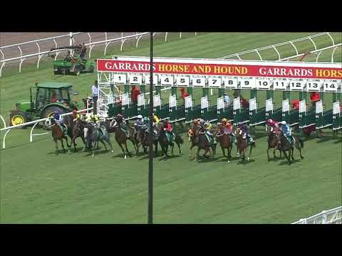 Sir Barnabus - Eagle Farm Race 4