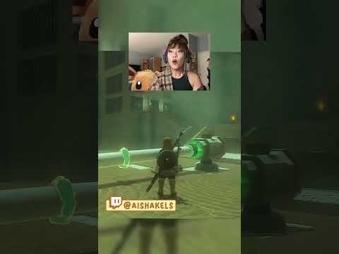 A jiggle stick Zelda Tears of the kingdom