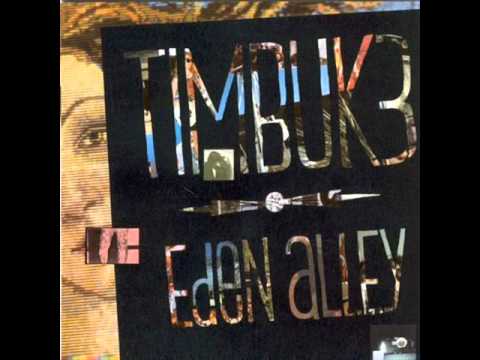 Timbuk 3 - Too Much Sex, Not Enough Affection