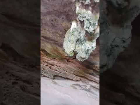 salão das estalactites geoparque Caçapava do Sul RS magnífico