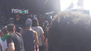 Fishbone- Fight the Youth (Live at Riot Fest 2021)