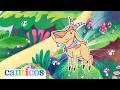 Sal De Ahí Chivita Chivita Los Pollitos Dicen La Vaca Lola Canciones Infantiles Canticos