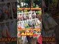 Mun Hayang Bucat Di Jero Meuli Leunca Kang Achit Tukang Sayur Shorts