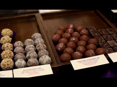 Bean-to-Bar Chocolate and the Future of the Chocolate Industry