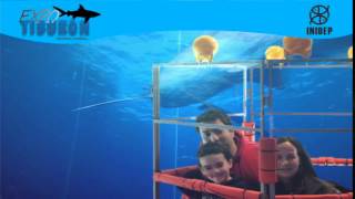 DIA 3 Expo Tiburon128