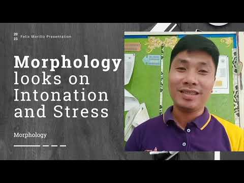 Morphology: Components of language: Felix Morillo, discussant.