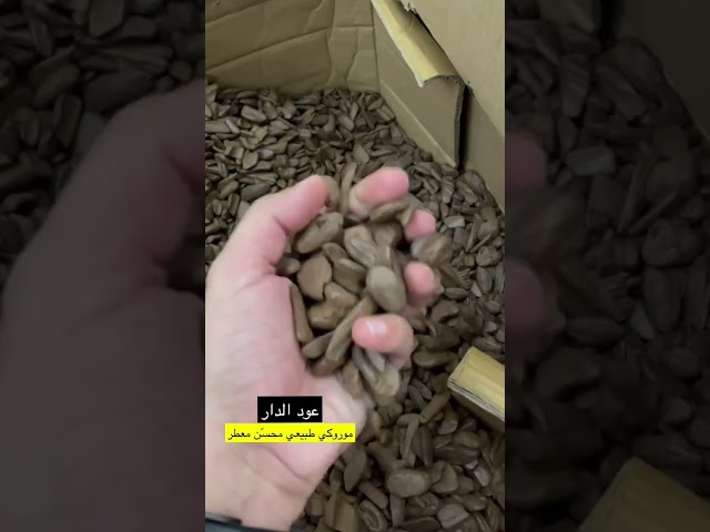 موروكي محسّن معطّر