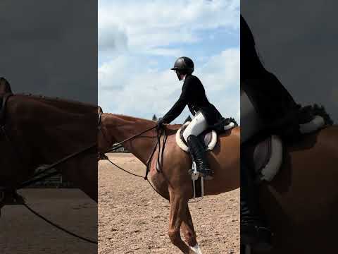 Archetype video 1