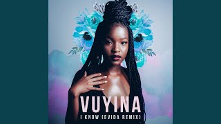 I Know (Evida Remix)