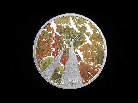 2 oz. Pure Silver Coin - Canadian Canopy: The Canada Goose