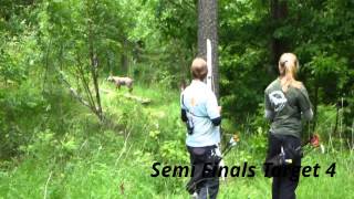 preview picture of video 'Swedish Open 3D 2013 Alingsås - BW Finals'