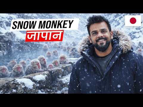 Snow monkey Japan 😍II Indian in Japan II