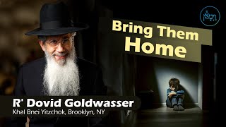 Vayimaen (וימאן) R' Dovid Goldwasser - Bring Them Home