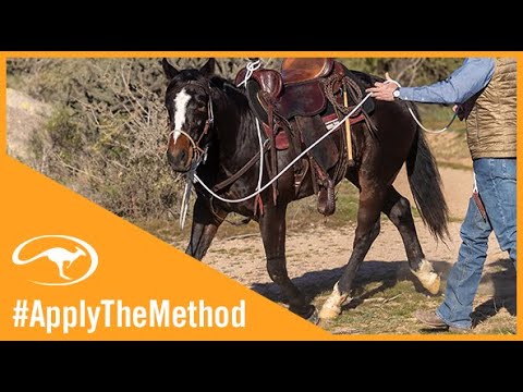 Clinton Anderson: The Benefits of Starting Colts in a Hackamore - Downunder Horsemanship