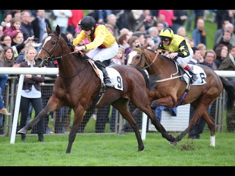 Hannover: Großer Preis der Mehl-Mülhens-Stiftung (Gruppe 3) - Siegerin: Good Donna