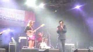 Strange Victory, Strange Defeat - Silver Jews