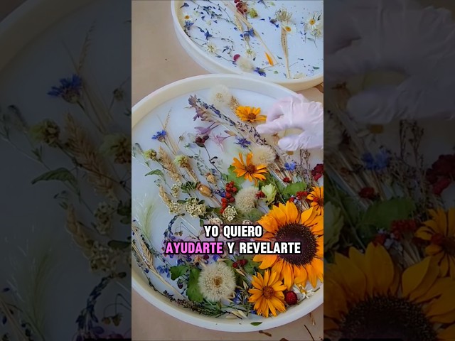 Vídeo relacionado con xlwen 10 Piezas Princesa Mononok, Mononoke Kodama, Elfos Luminosos Hechos de Resina, para Decoraciones Interiores y Exteriores del Hogar y El JardíN.