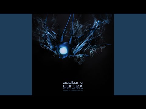 Morphogenic Transformer