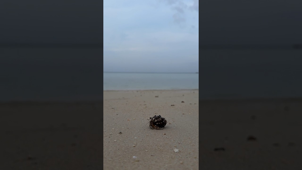 YouTube Short thumbnail