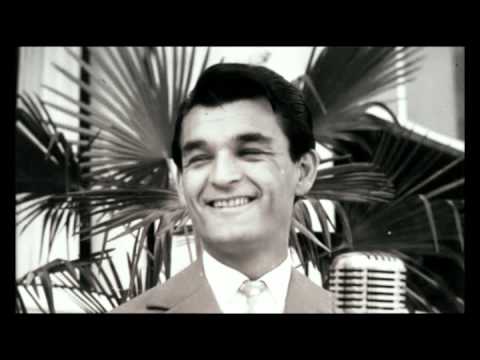 Ivo Robić - Mislio sam da je život  (1982)