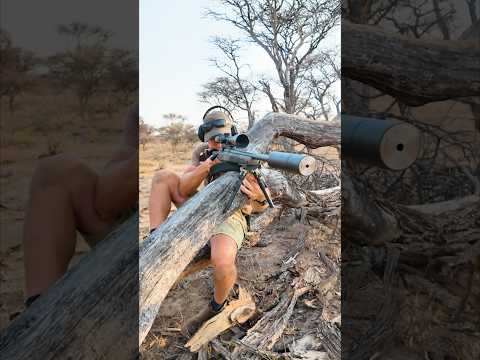 Meistere den perfekten Schuss: Top Tipps für Jäger! #jagd #jäger