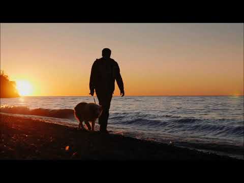 I Walk Alone - Marty Robbins