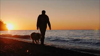 Marty Robbins - - - I Walk Alone   { Good Video }