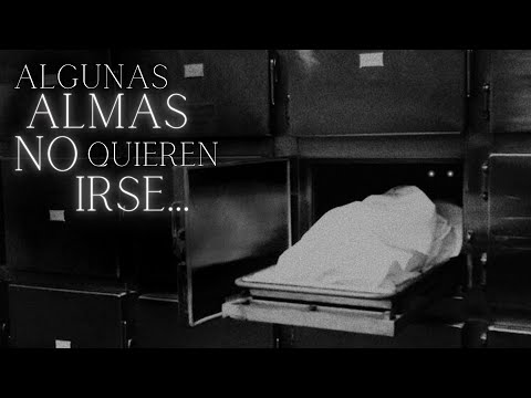 3 HORROR STORIES in the MORGUE I Forensic Doctors reveal their TERRIFYING experiences...