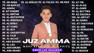 Download lagu Murottal AlQuran Juz 30 (Juz Amma) Beautiful Quran Recitation Abdullah Shaaban | English Translation mp3