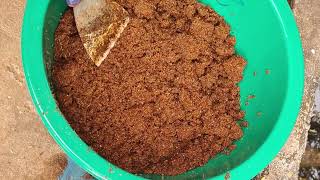 21 มกราคม ค.ศ. 2023