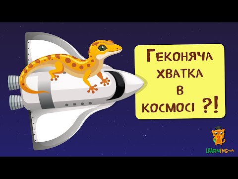🍀 Дива природи. Явища навколо нас. Гекони та їхні лапи🌏