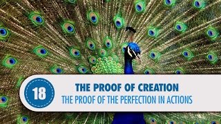 Video: Human Body proves God - Quran Miracle