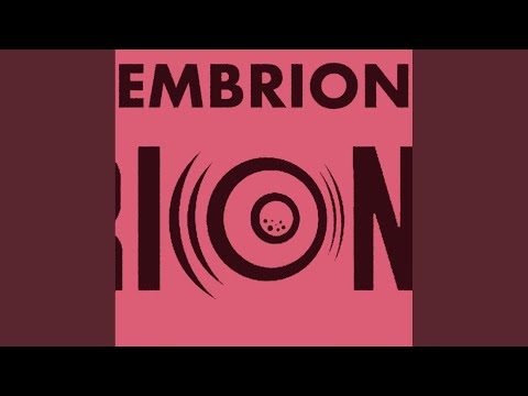 Mechanical Boody (Diop Remix)