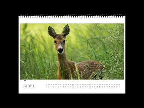 Kalender 2018
