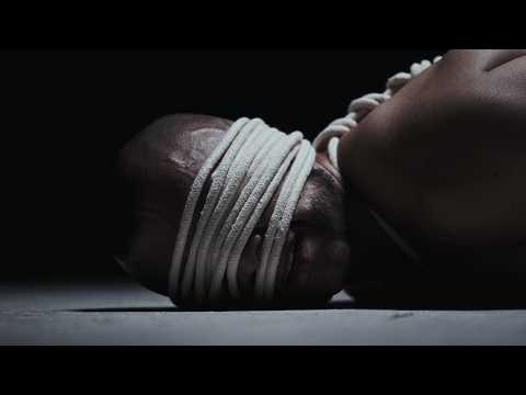 Metazoa - Ouroboros (Ft. Everlight) (Videoclip Oficial)