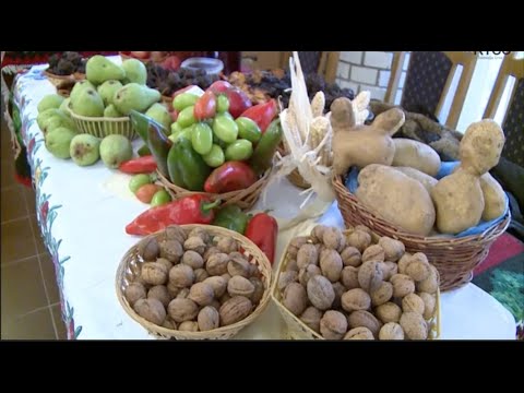 SAJAM POLJOPRIVREDE I DOMACE RADINOSIT