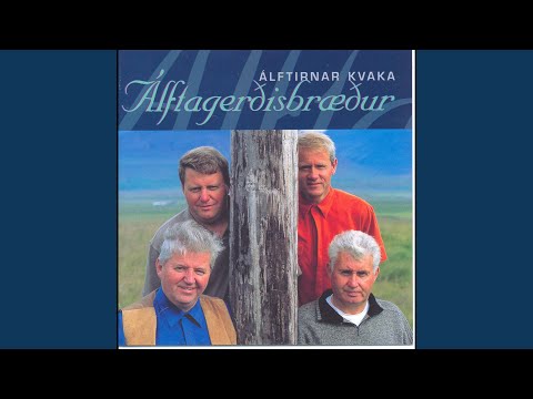 Ég vildi að ég væri