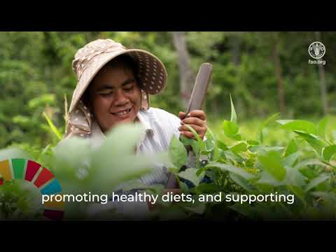 FAO Cambodia Country Programming Framework 2024-2028