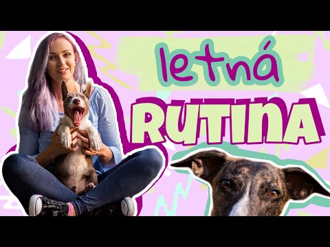 Moja letná RUTINA SO PSAMI | život so psom