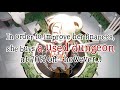 Gameplay video of The Sealed Ampoule  All Platforms