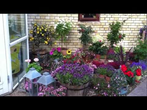 Et lille blomsterhjørne med Campanula og Lavendler