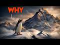The Penguin Who Chose Himself