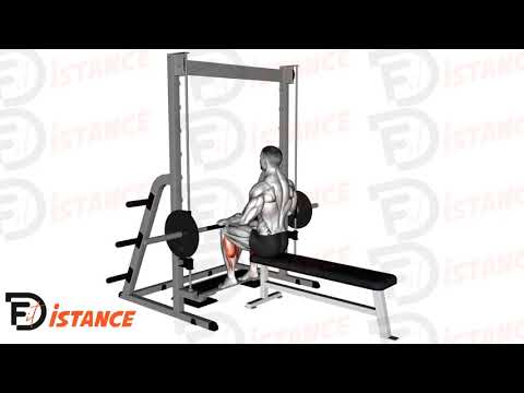 Exercice Élévations de mollets assis à la machine guidée (Smith)