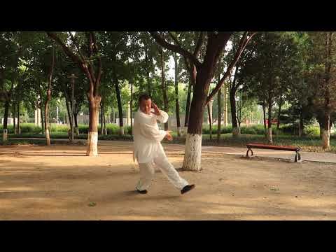 Xingyi Bagua form Dragon Style Bagua