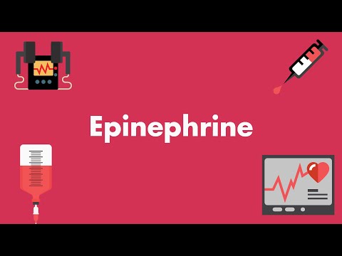 Epinephrine - Vasopressors & Inotropes - MEDZCOOL