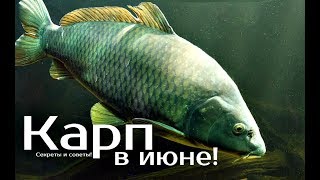 Ссылка