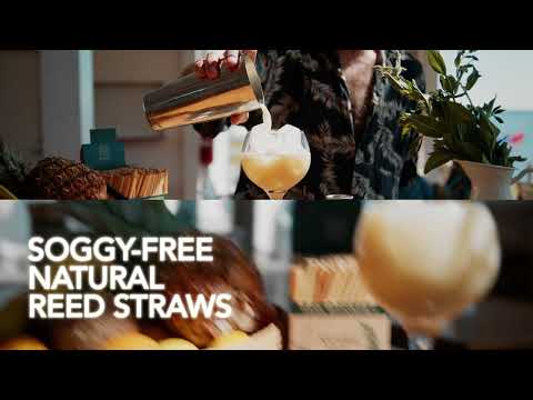 Reedest Reed Cocktail Drinking Straws